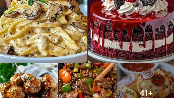 لمحة نيوز